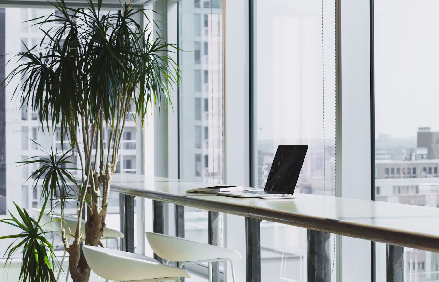 Практики внимания для творческого профессионала